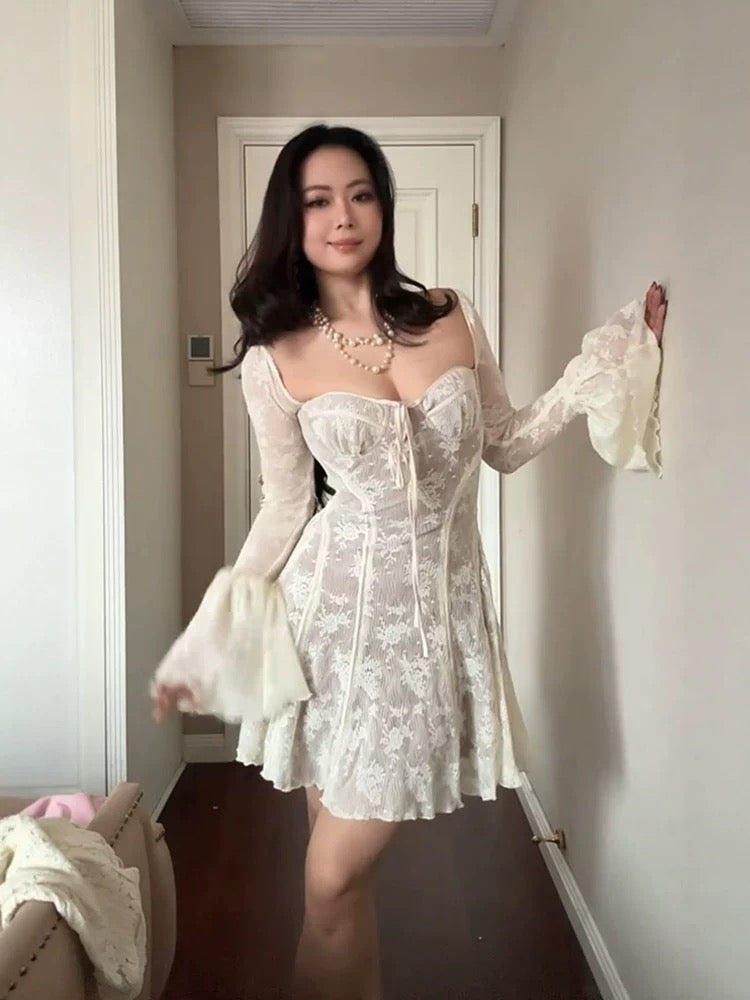 Vintage Lace Corset Dress