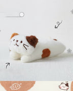 Pencil case (Каргоны мөнгийг ирэхээр нь өгнө)